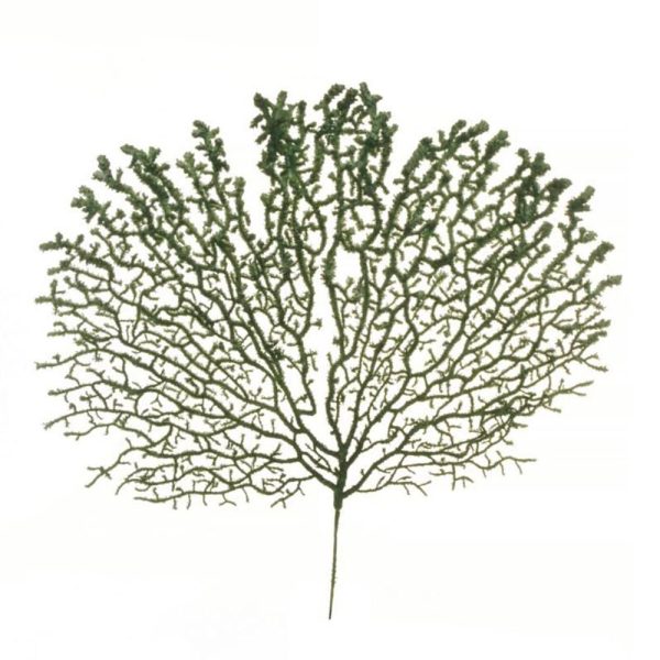 CORALLO FLOCCATO D.45 CM.49 VERDE CORALLO FLOCCATO D.45 CM.49 VERDE