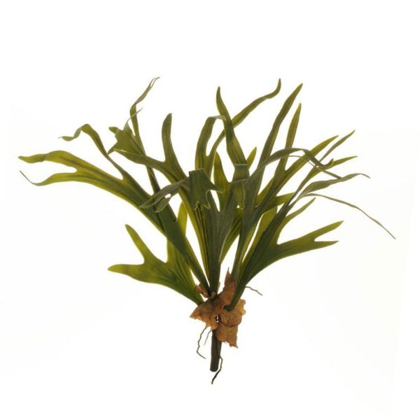 STAG HORN BUSH 9F CM.67VERDE STAG HORN BUSH 9F CM.67VERDE