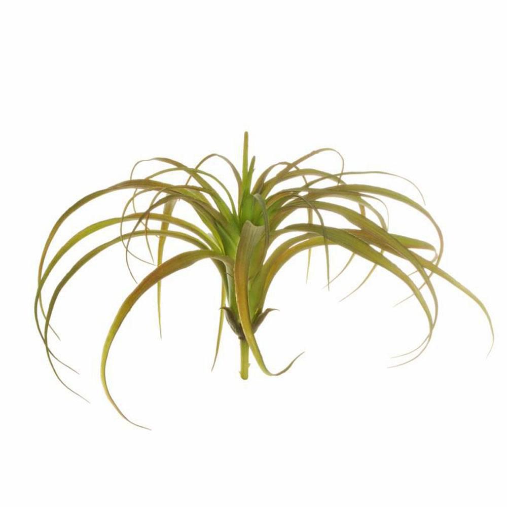 TILLANZIA BUSH D.30 H.17 FLOCCATA VERDE/ROSA TILLANZIA BUSH D.30 H.17 FLOCCATA VERDE/ROSA