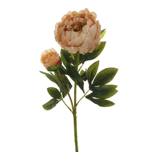 PEONIA SPRAY 1F+1B CM.66 ECRU PEONIA SPRAY 1F+1B CM.66 ECRU