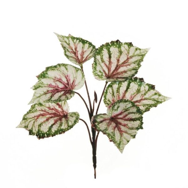 CALADIUM BOUQUET REAL TOUCH CM.30 VERDE/BURGUNDY CALADIUM BOUQUET REAL TOUCH CM.30 VERDE/BURGUNDY