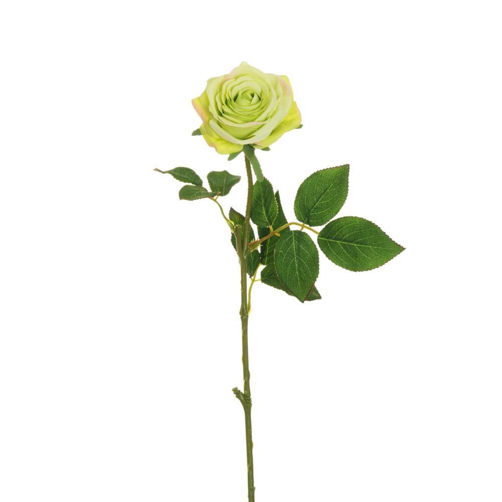 ROSA ECUADOR 1F CM.65 VERDE