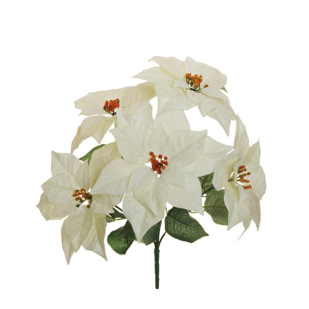 STELLA DI NATALE POINSETTIA BUSH 5F D.24 CM.52 BIANCO STELLA DI NATALE POINSETTIA BUSH 5F D.24 CM.52 BIANCO