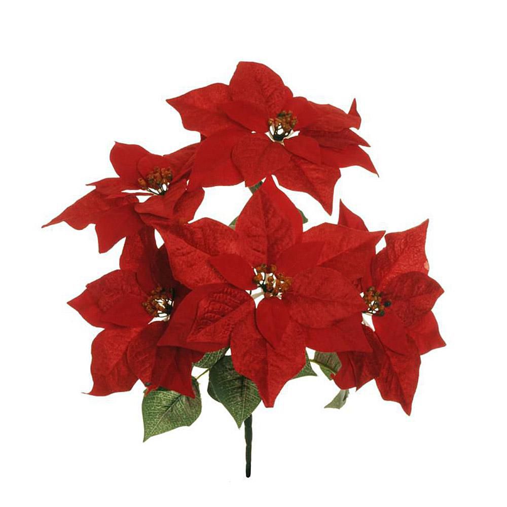 STELLA DI NATALE POINSETTIA BUSH 5F D.24 CM.52 ROSSO STELLA DI NATALE POINSETTIA BUSH 5F D.24 CM.52 ROSSO