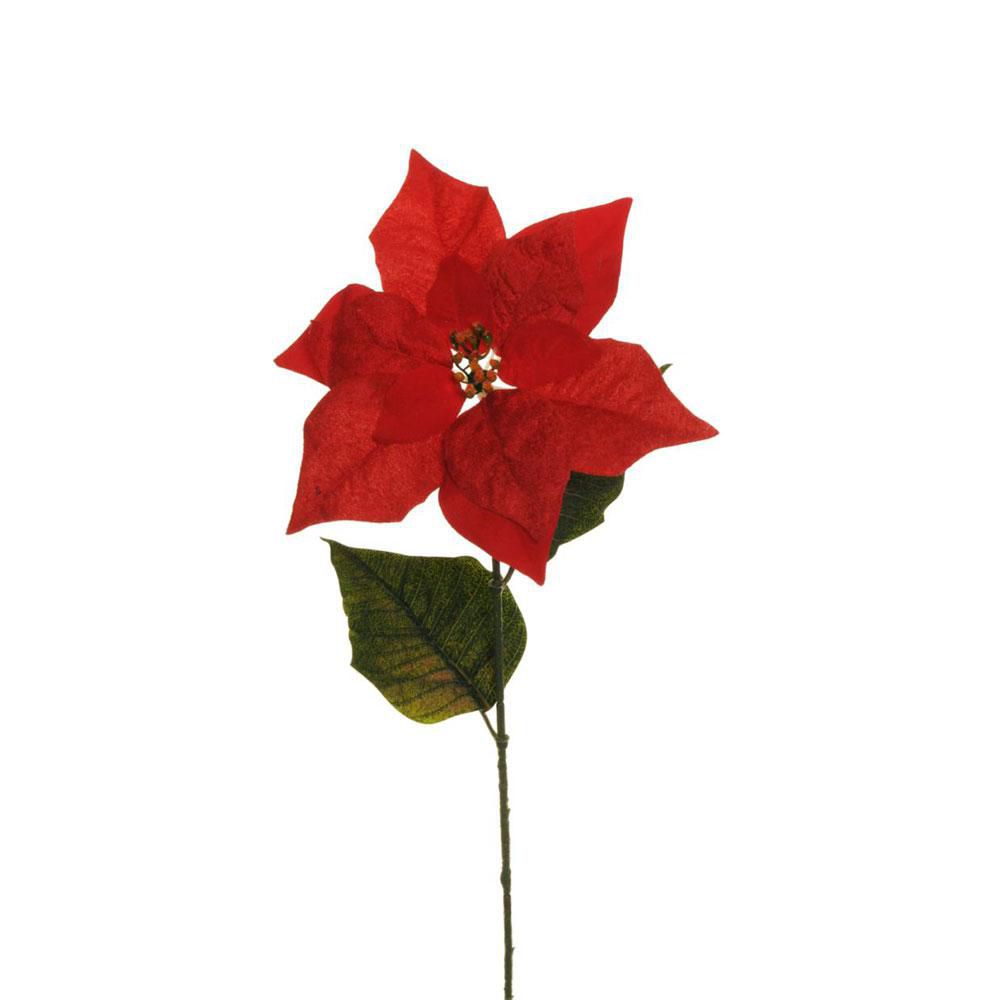 STELLA DI NATALE POINSETTIA 2FG CM.73 ROSSO STELLA DI NATALE POINSETTIA 2FG CM.73 ROSSO