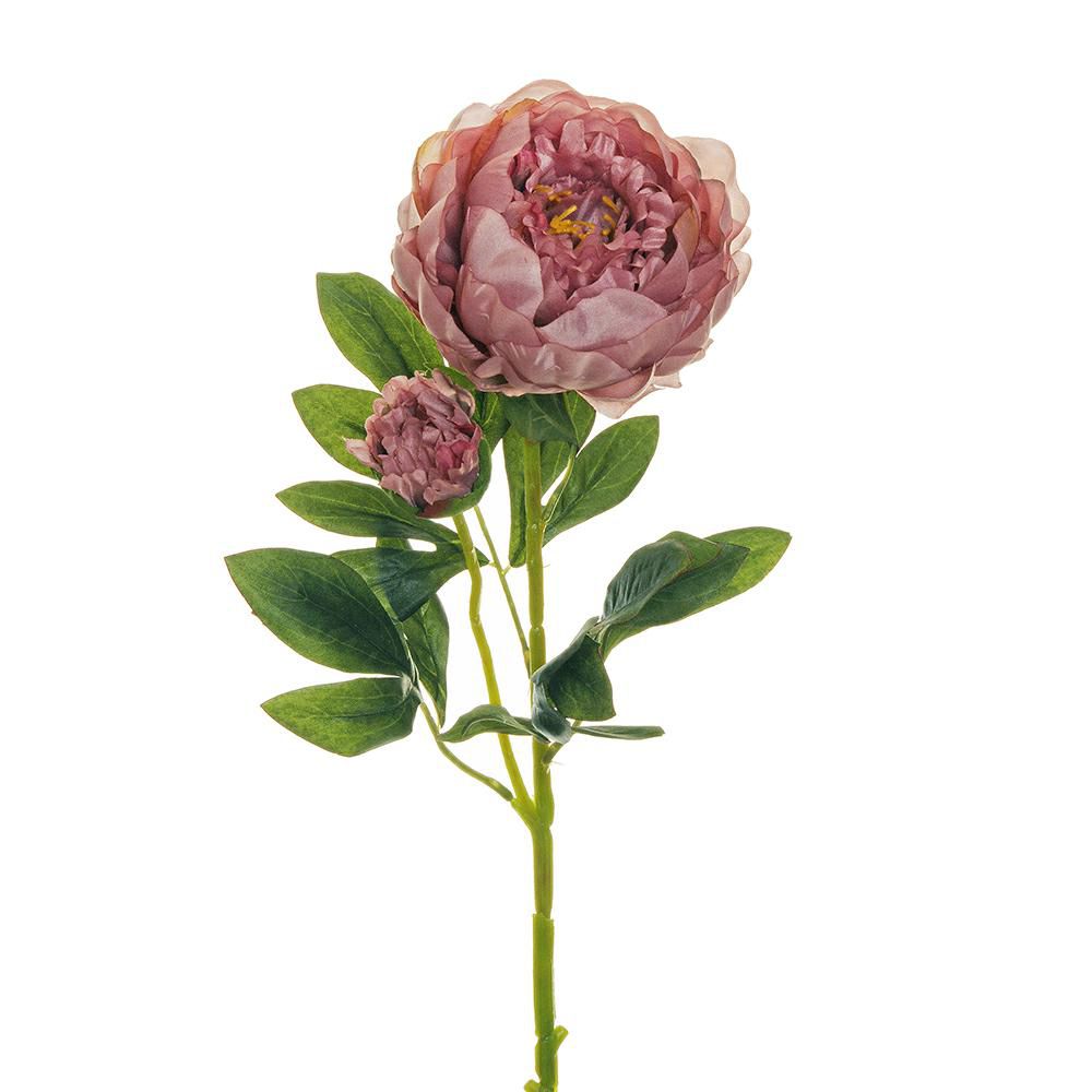 PEONIA SPRAY 1F+1B CM.66 PORPORA CHIARO