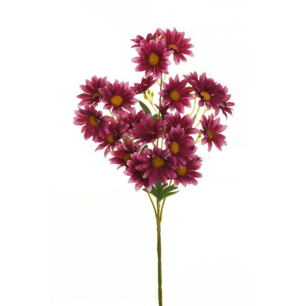 DAISY SPRAY 24F 4FG CM.65 PORPORA E.