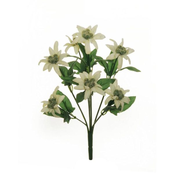 STELLA ALPINA BUSH 7F CM.31 BIANCO STELLA ALPINA BUSH 7F CM.31 BIANCO