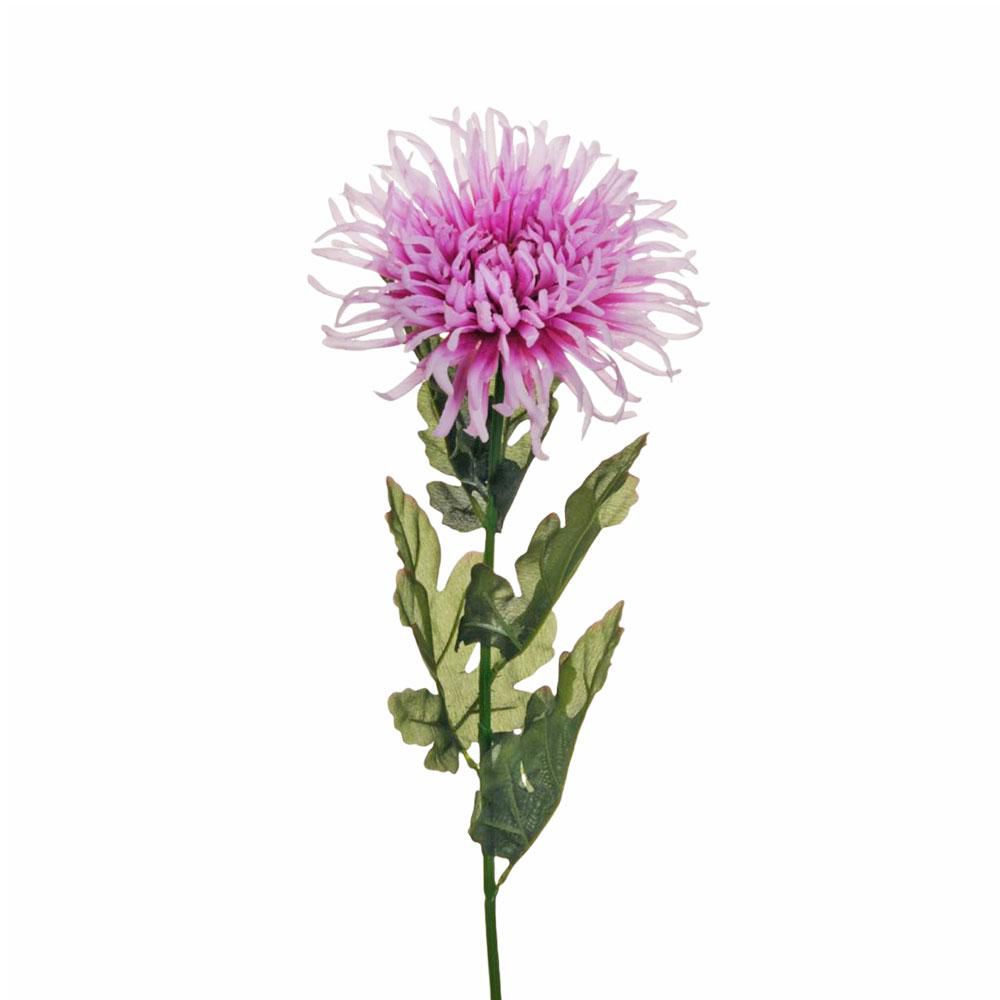 SPIDER MUM CM.80 PORPORA/LILLA SPIDER MUM CM.80 PORPORA/LILLA