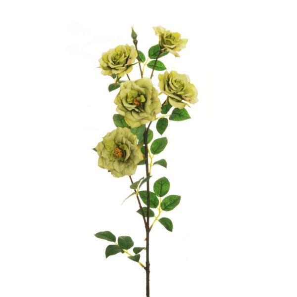 ROSA WILD CM.78 VERDE ROSA WILD CM.78 VERDE