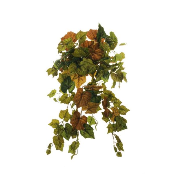 VITE BUSH 12X 155FG CM.65 VERDE/MARRONE VITE BUSH 12X 155FG CM.65 VERDE/MARRONE