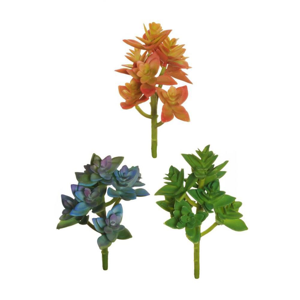 SET 3 SUCCULENT PIANTA GRAPTOSEDUM CM.18 ARANCIO/VERDE/VIOLA SET 3 SUCCULENT PIANTA GRAPTOSEDUM CM.18 ARANCIO/VERDE/VIOLA