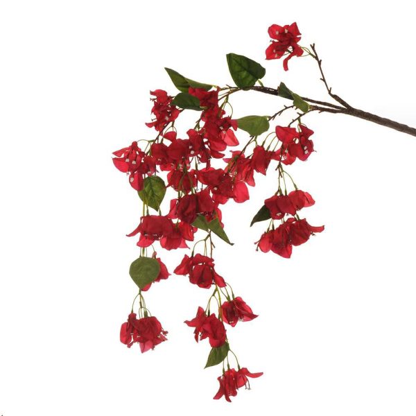 BOUGANVILLEA RAMO 120 CM GOMMATO ROSSO BOUGANVILLEA RAMO 120 CM GOMMATO ROSSO