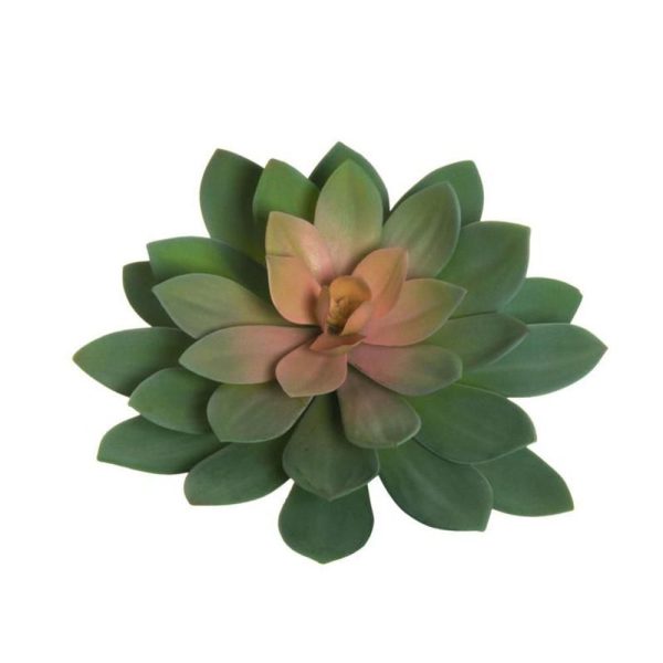 ECHEVERIA GIGANTE D.32 CM. H.22 CM. VERDE/GRIGIO/ROSA ECHEVERIA GIGANTE D.32 CM. H.22 CM. VERDE/GRIGIO/ROSA