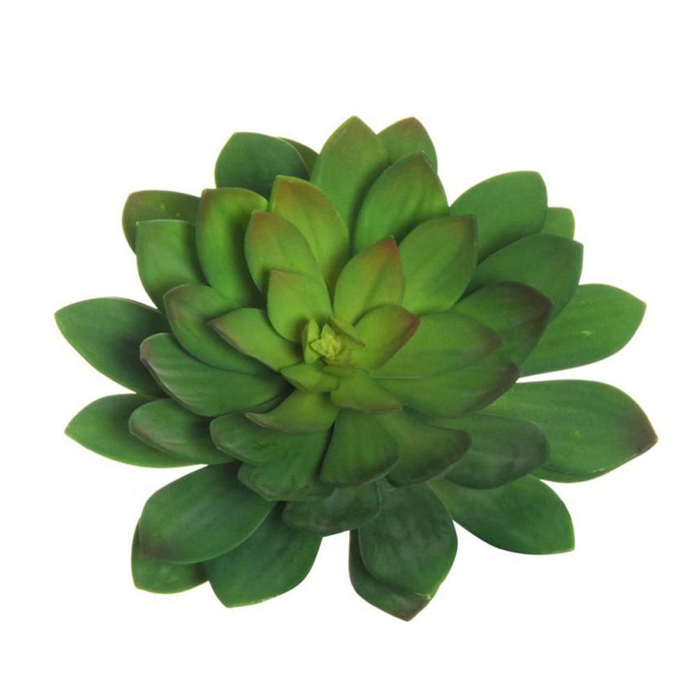 ECHEVERIA GIGANTE D.33 CM. H.26 CM. VERDE