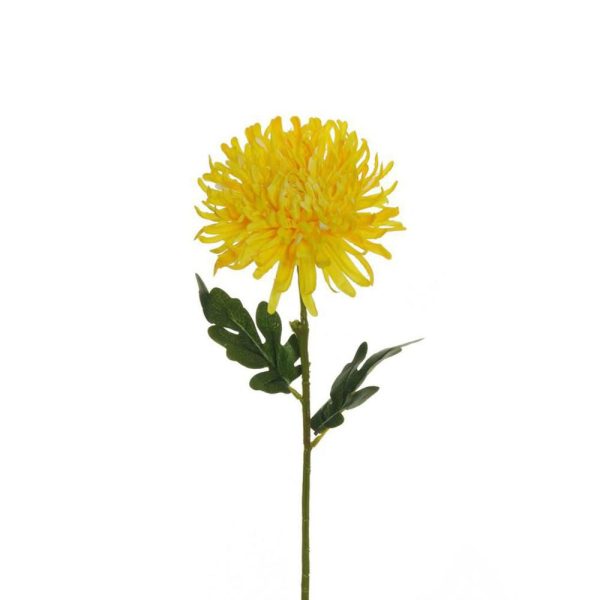 CRISANTEMO SPIDER 2F CM.54 GIALLO CRISANTEMO SPIDER 2F CM.54 GIALLO