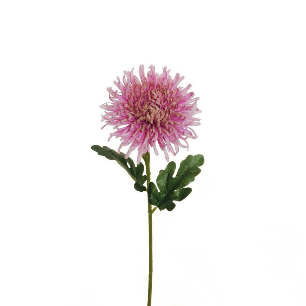 CRISANTEMO SPIDER 2F CM.54 MALVA CRISANTEMO SPIDER 2F CM.54 MALVA