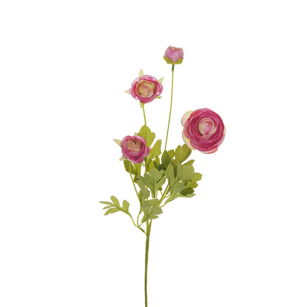 RANUNCOLO SPRAY 4X 1F 3B CM.60 VIOLA CHIARO RANUNCOLO SPRAY 4X 1F 3B CM.60 VIOLA CHIARO