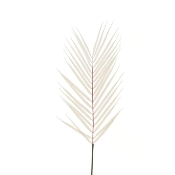 ARECA FLOCCATA CM.68 BIANCO ARECA FLOCCATA CM.68 BIANCO