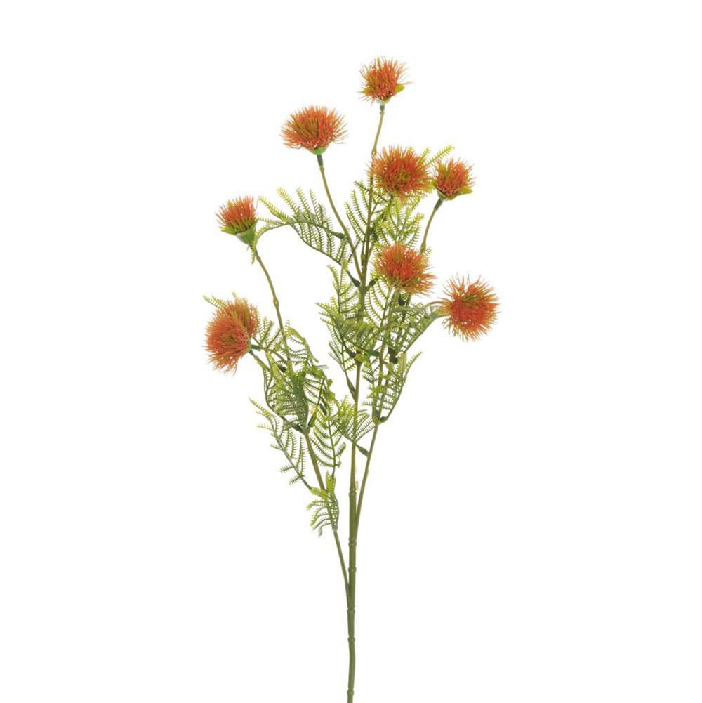 CARDOON SPRAY 3X CM.75 ARANCIO CARDOON SPRAY 3X CM.75 ARANCIO