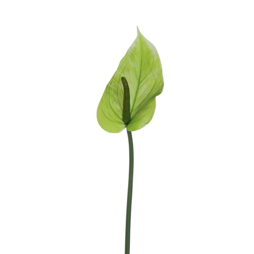ANTHURIUM LUMINA REAL TOUCH CM.74 VERDE ANTHURIUM LUMINA REAL TOUCH CM.74 VERDE
