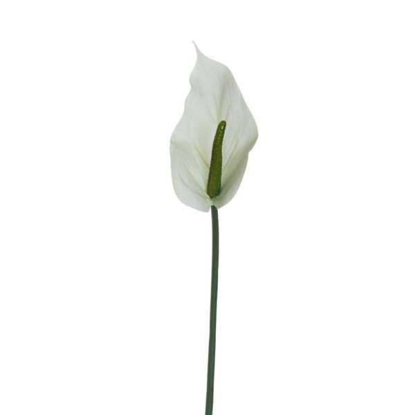 ANTHURIUM LUMINA REAL TOUCH CM.74 BIANCO/VERDE