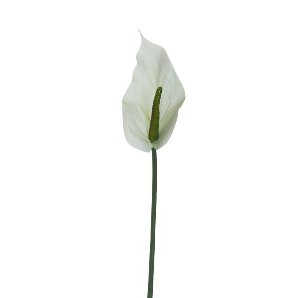 ANTHURIUM LUMINA REAL TOUCH CM.74 BIANCO/VERDE