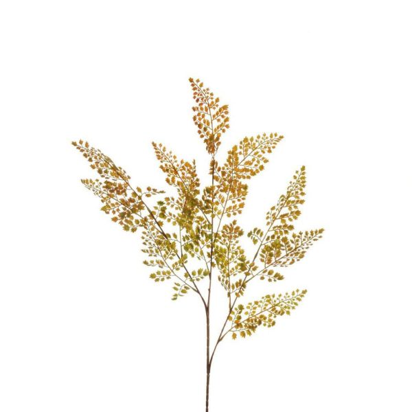 MAIDENHAIR SPRAY 3X 13FG CM.99 VERDE/MARRONE MAIDENHAIR SPRAY 3X 13FG CM.99 VERDE/MARRONE