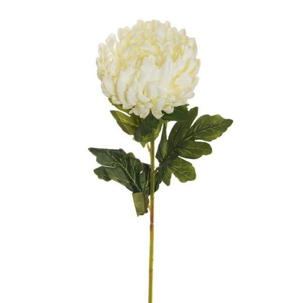 CRISANTEMO 4F CM.76 BIANCO CRISANTEMO 4F CM.76 BIANCO