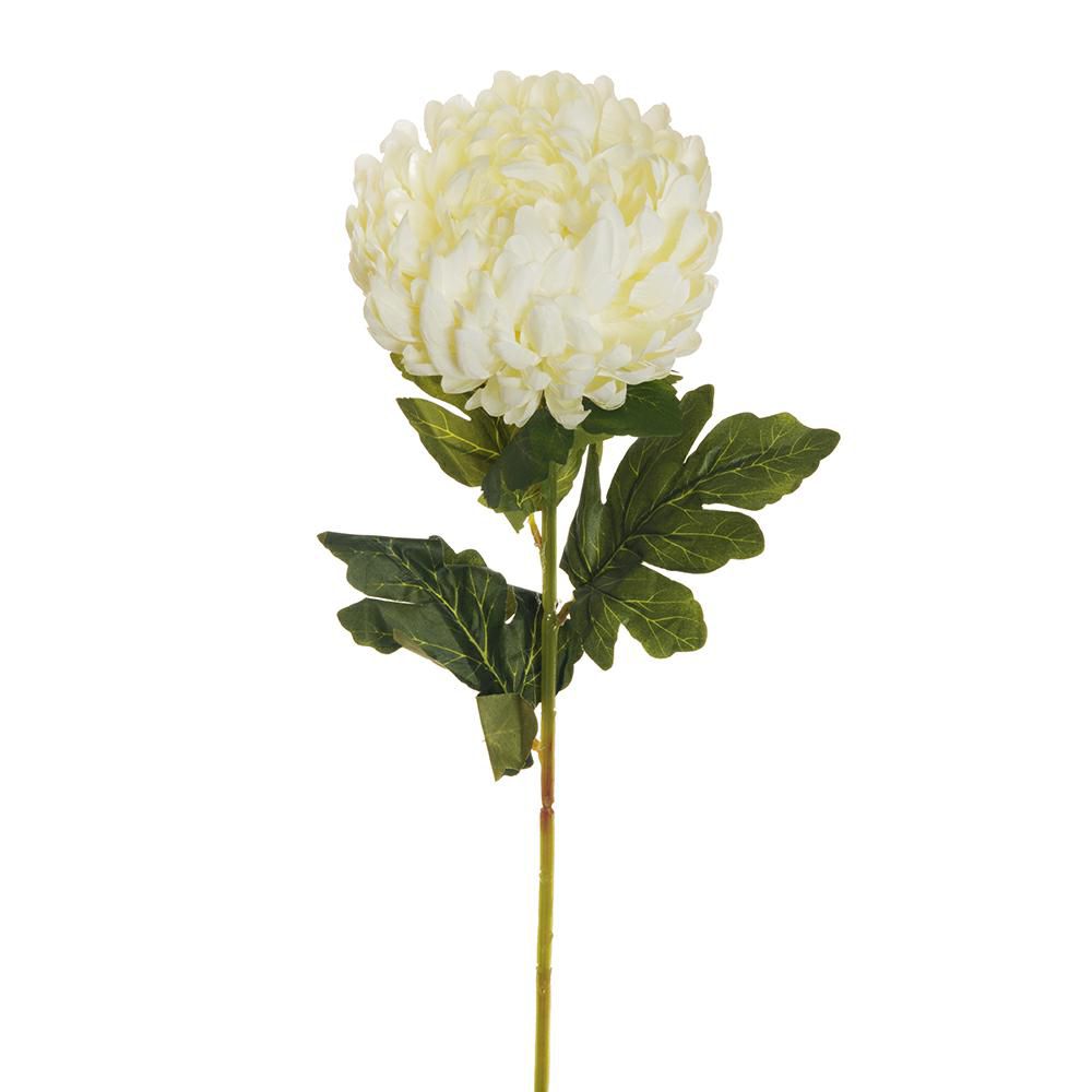 CRISANTEMO 4F CM.76 BIANCO CRISANTEMO 4F CM.76 BIANCO