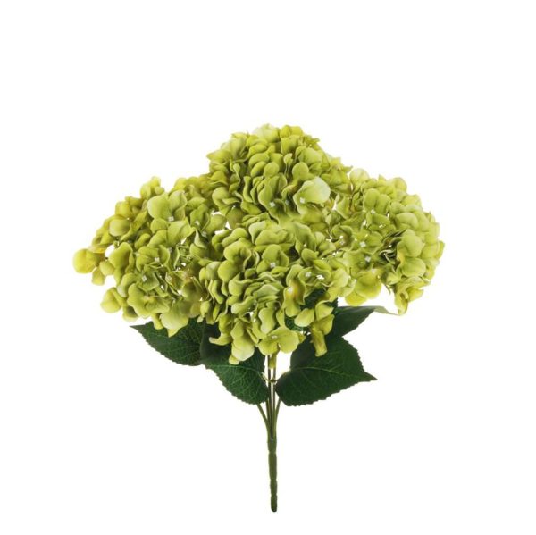 HYDRANGEA BOUQUET 5X CM.48 VERDE HYDRANGEA BOUQUET 5X CM.48 VERDE
