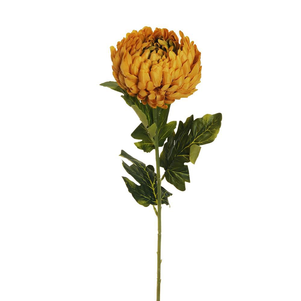 CRISANTEMO 4F CM.76 MOSTARDA