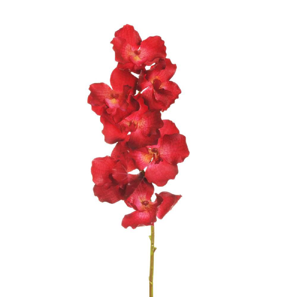 ORCHIDEA VANDA RAMO REAL TOUCH 7F CM.78 BURGUNDY