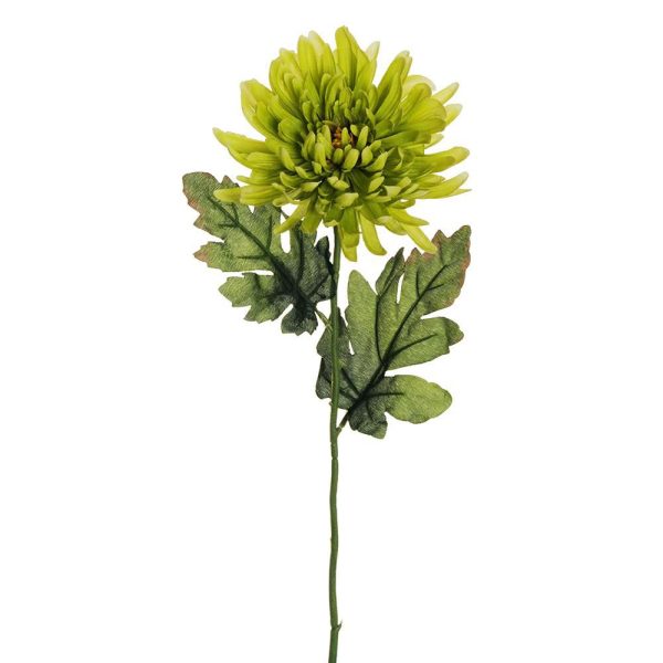 CRISANTEMO SPIDER 2F CM.70 VERDE CRISANTEMO SPIDER 2F CM.70 VERDE