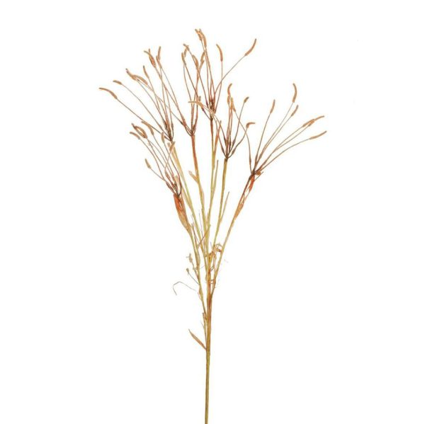 ARISTIDA RAMO CM.95 MARRONE/ARANCIO ARISTIDA RAMO CM.95 MARRONE/ARANCIO