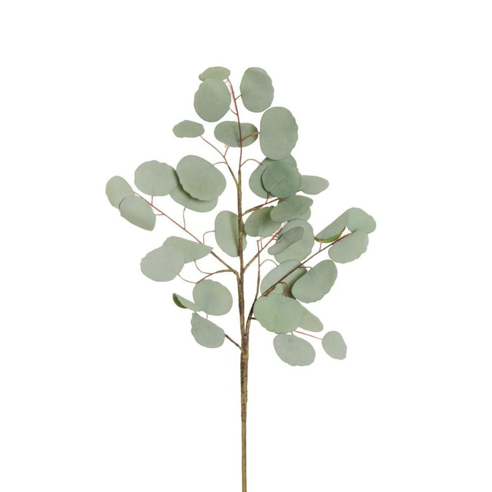 EUCALYPTO SPRAY CM.90 VERDE EUCALYPTO SPRAY CM.90 VERDE