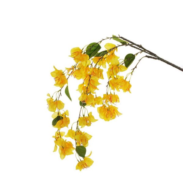BOUGANVILLEA RAMO CADENTE GOMMATO CM.120 GIALLO BOUGANVILLEA RAMO CADENTE GOMMATO CM.120 GIALLO