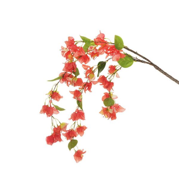 BOUGANVILLEA RAMO CADENTE GOMMATO CM.120 CORALLO BOUGANVILLEA RAMO CADENTE GOMMATO CM.120 CORALLO