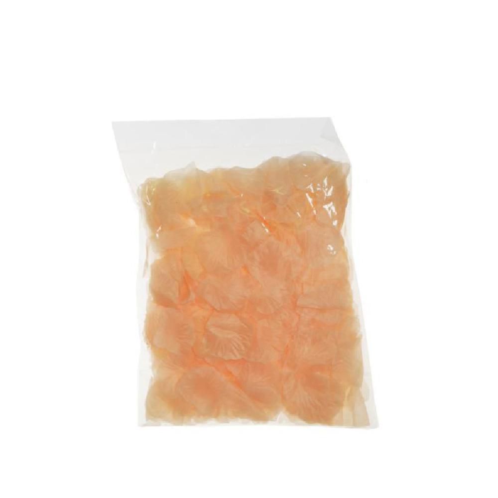 BAG 300 PETALI ROSA CM.28X22 SALMONE BAG 300 PETALI ROSA CM.28X22 SALMONE