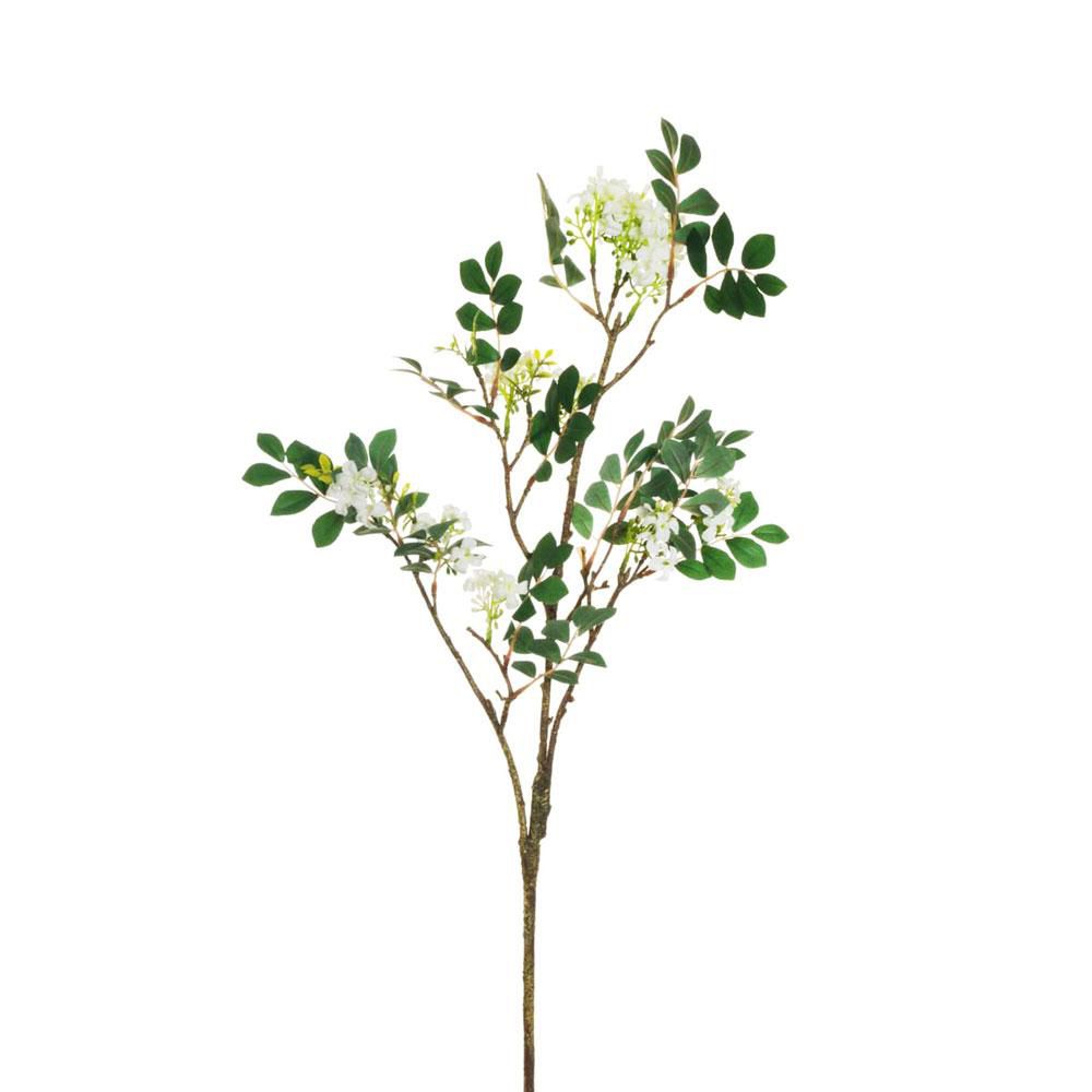 ACACIA RAMO CM.74 VERDE/BIANCO