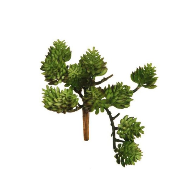 SET 6 SEDUM ALBUM GOMMATI CM.12,5 VERDE/MARRONE SET 6 SEDUM ALBUM GOMMATI CM.12,5 VERDE/MARRONE