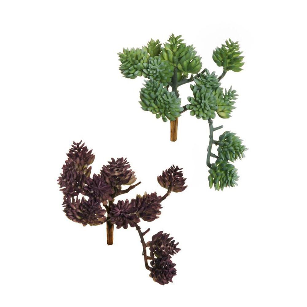 SET 6 SEDUM ALBUM GOMMATI CM.12,5 ASSORTITI VERDE/BURGUNDY