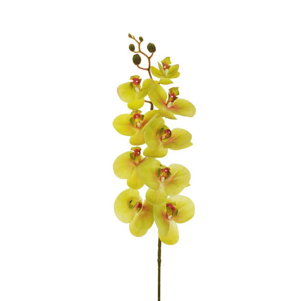 PHALAENOPSIS RAMO REAL TOUCH 9F CM.96 VERDE CHIARO