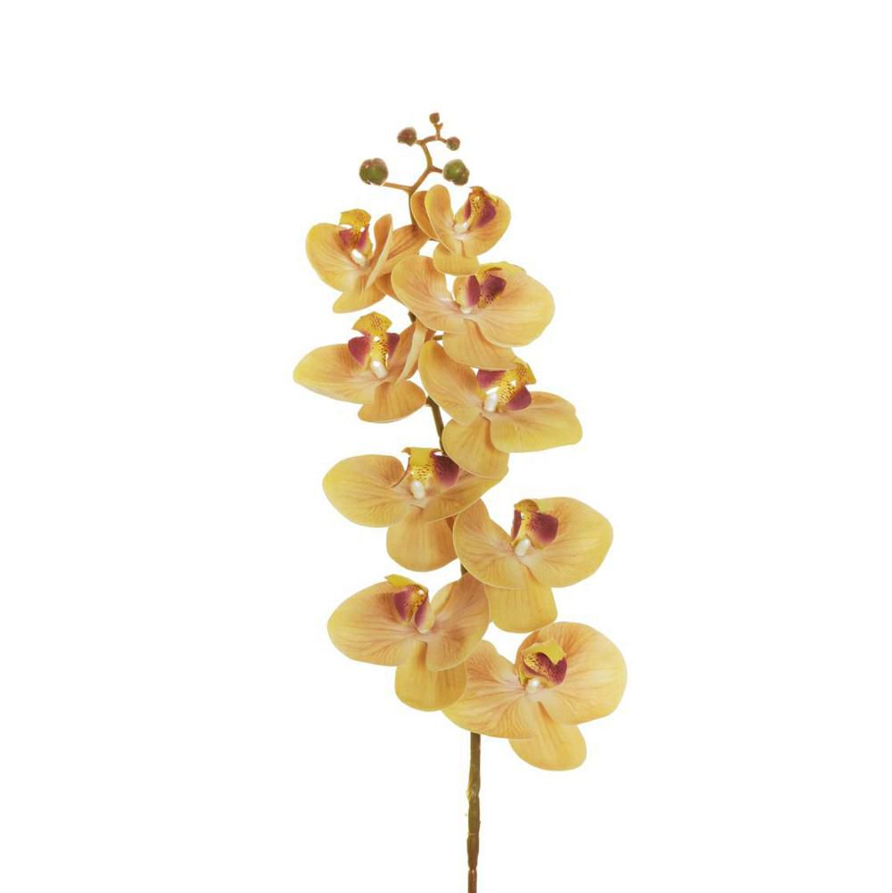 PHALAENOPSIS RAMO REAL TOUCH 9F CM.96 SENAPE