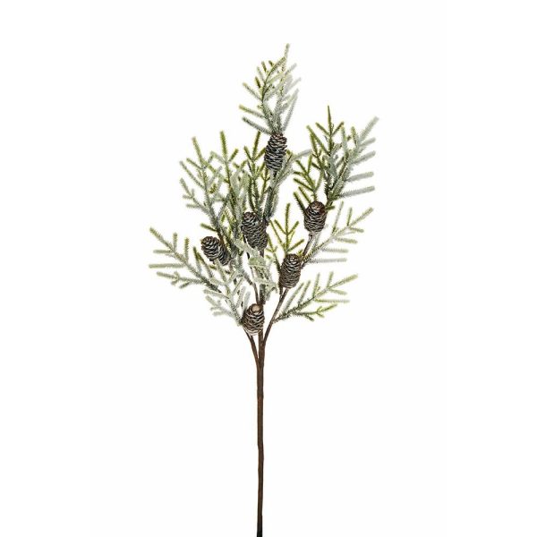 ABETE RAMO C/PIGNE H.75CM VERDE ABETE RAMO C/PIGNE H.75CM VERDE