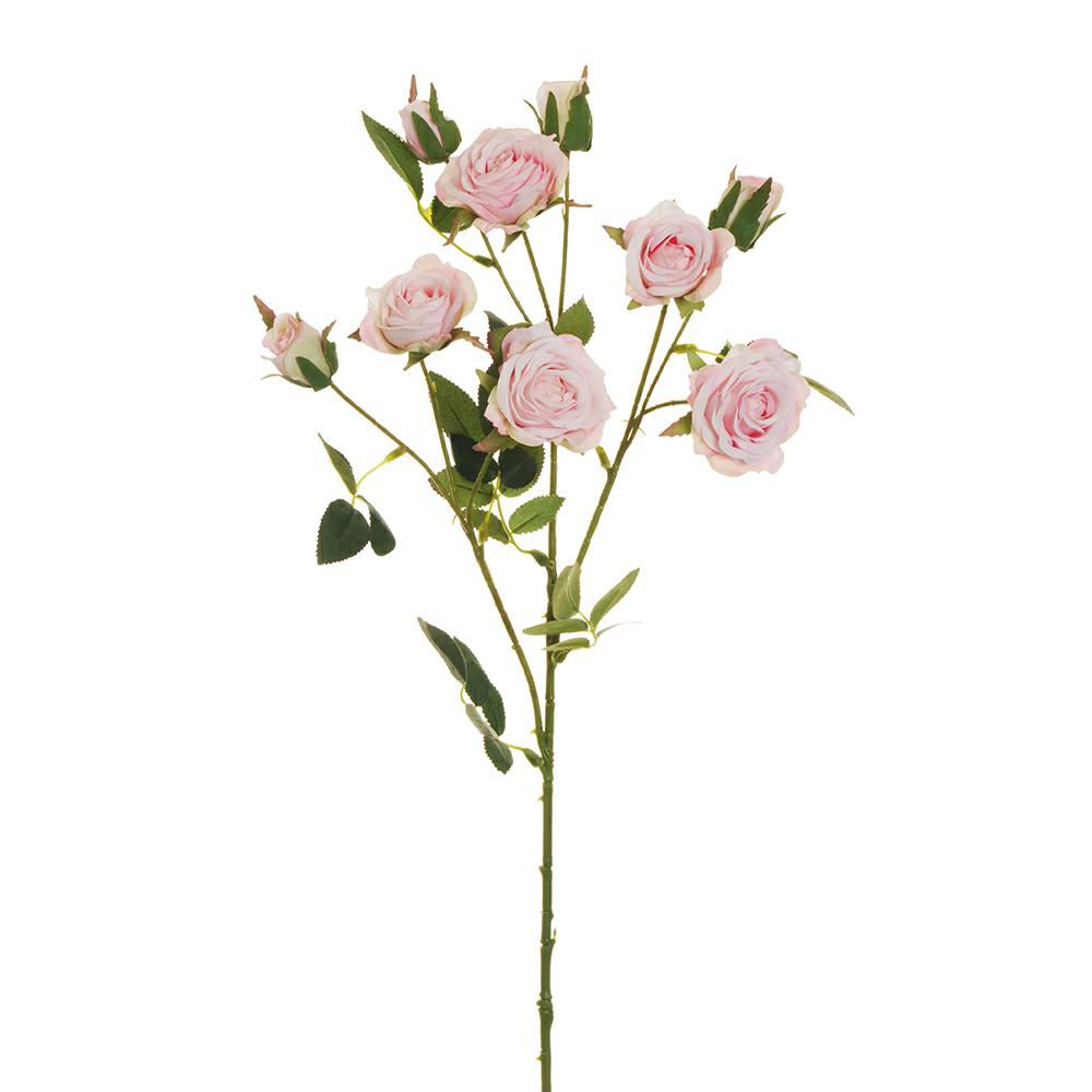 ROSE VIVIANE SPRAY 3X CM.71 ROSA ROSE VIVIANE SPRAY 3X CM.71 ROSA