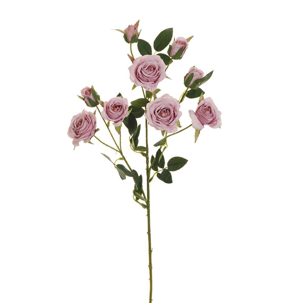 ROSE VIVIANE SPRAY 3X CM.71 LILLA
