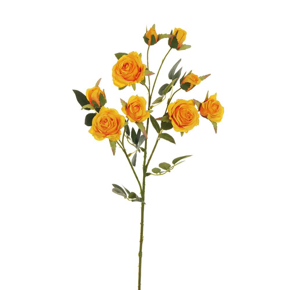 ROSE VIVIANE SPRAY 3X CM.71 GIALLO ROSE VIVIANE SPRAY 3X CM.71 GIALLO