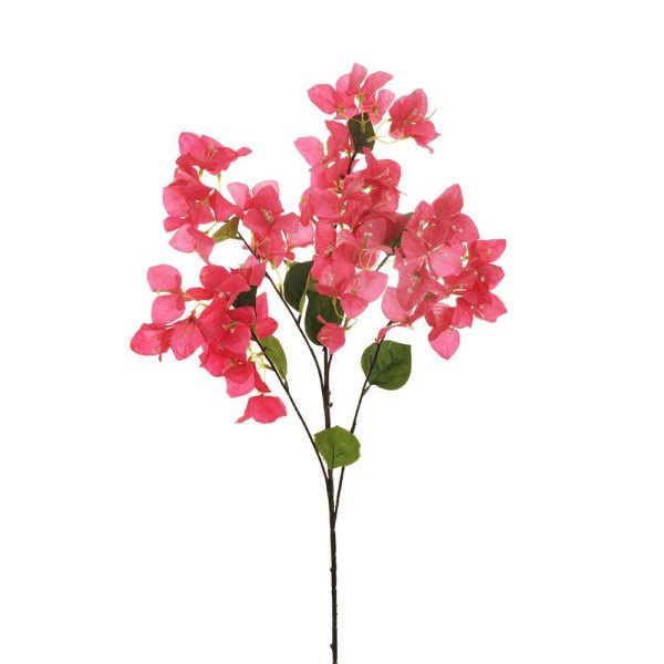 BOUGANVILLEA SPRAY 5X CM.91 FUXIA BOUGANVILLEA SPRAY 5X CM.91 FUXIA
