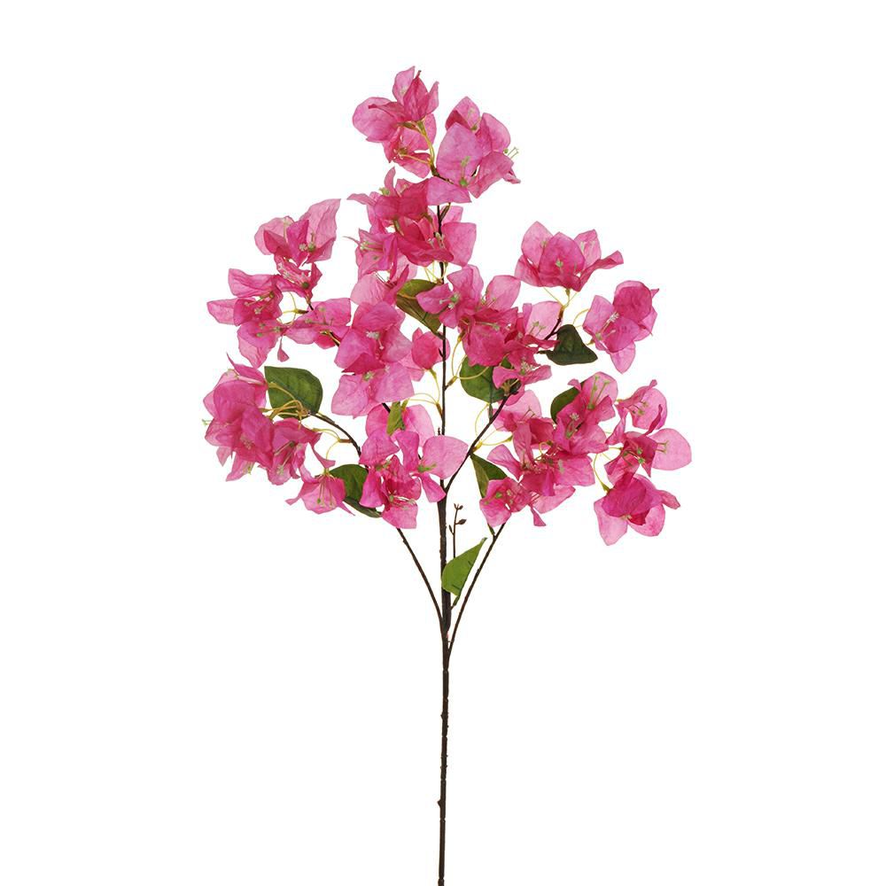 BOUGANVILLEA SPRAY 5X CM.91 VIOLA
